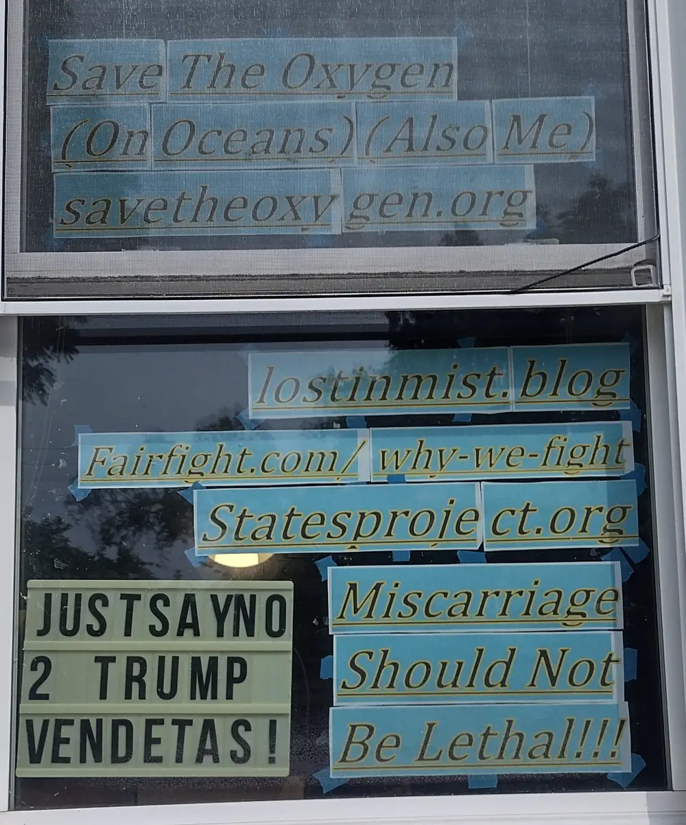 Light up letter box saying 'Just say no to Trump Vendatas!', and printouts saying 'Miscarriage should not be lethal!!!', statesproject.org, lostinmist.blog, fairfight.com/why-we-fight, and 'Save The Oxygen (On Oceans) (Also Me) savetheoxygen.org